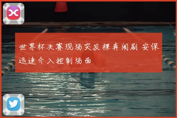 世界杯决赛现场突发裸奔闹剧 安保迅速介入控制场面