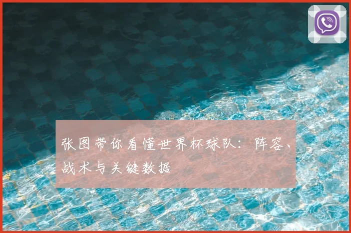 张图带你看懂世界杯球队：阵容、战术与关键数据