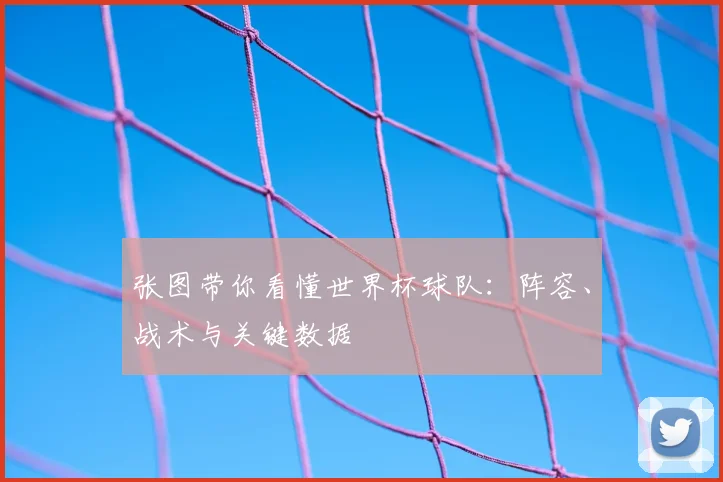 张图带你看懂世界杯球队：阵容、战术与关键数据