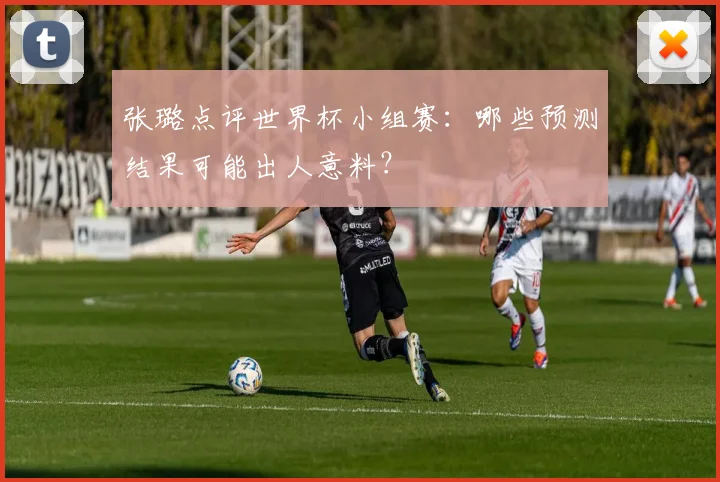 张璐点评世界杯小组赛：哪些预测结果可能出人意料？